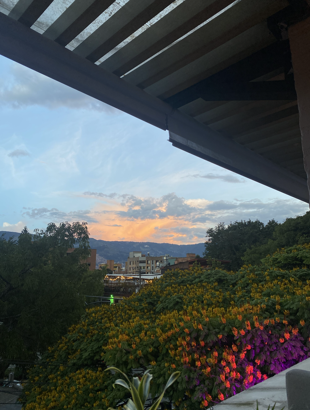 Week 3: make_sense Leadership-in-Action: Medellín, Colombia 