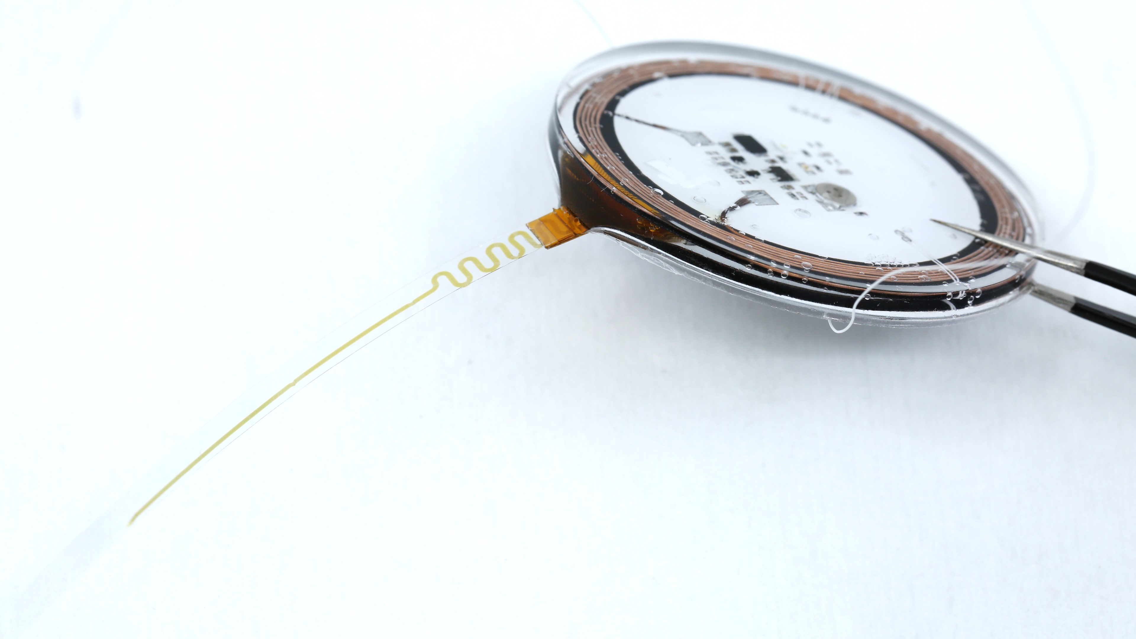Stealthy neural recorder: Link neural activity with natural behaviours