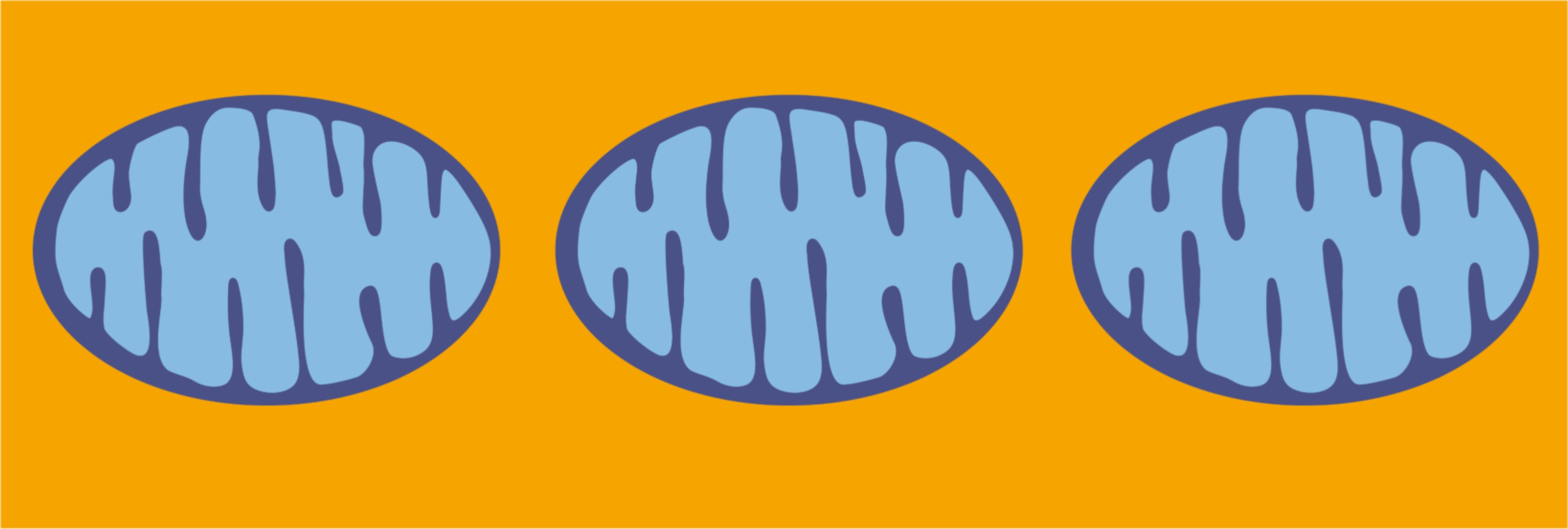 Agnieszka Chacinska: “There is a moment when the things and observations start to fall into a reasonable hypothesis or even a model. This is the moment I love.”