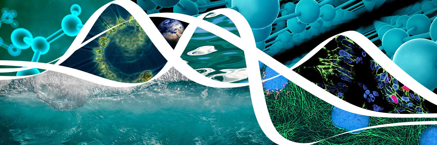 Video: What is the role of a Nature Communications editor?