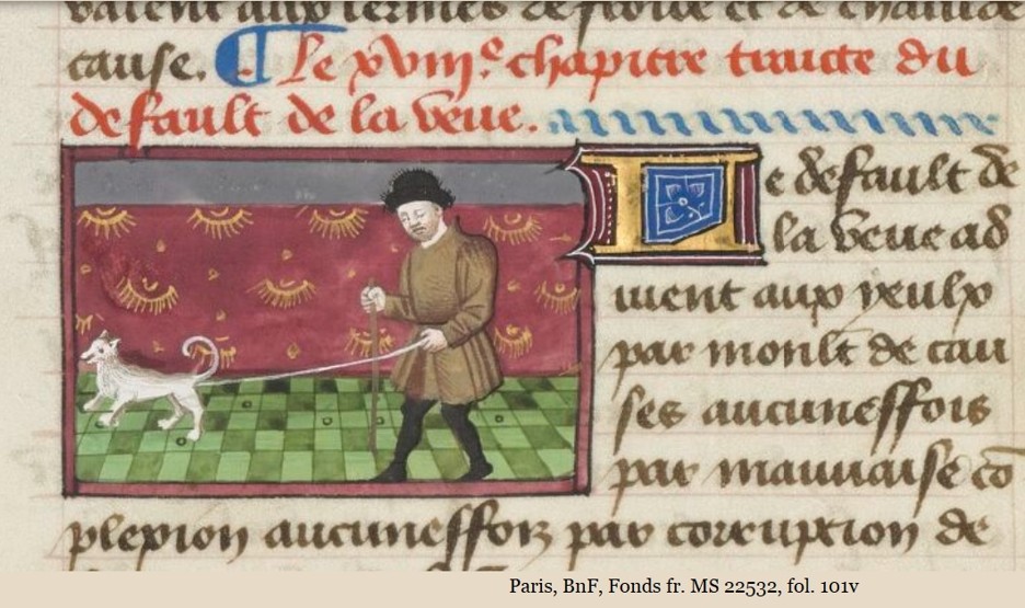 Why care about medieval guide dogs?  