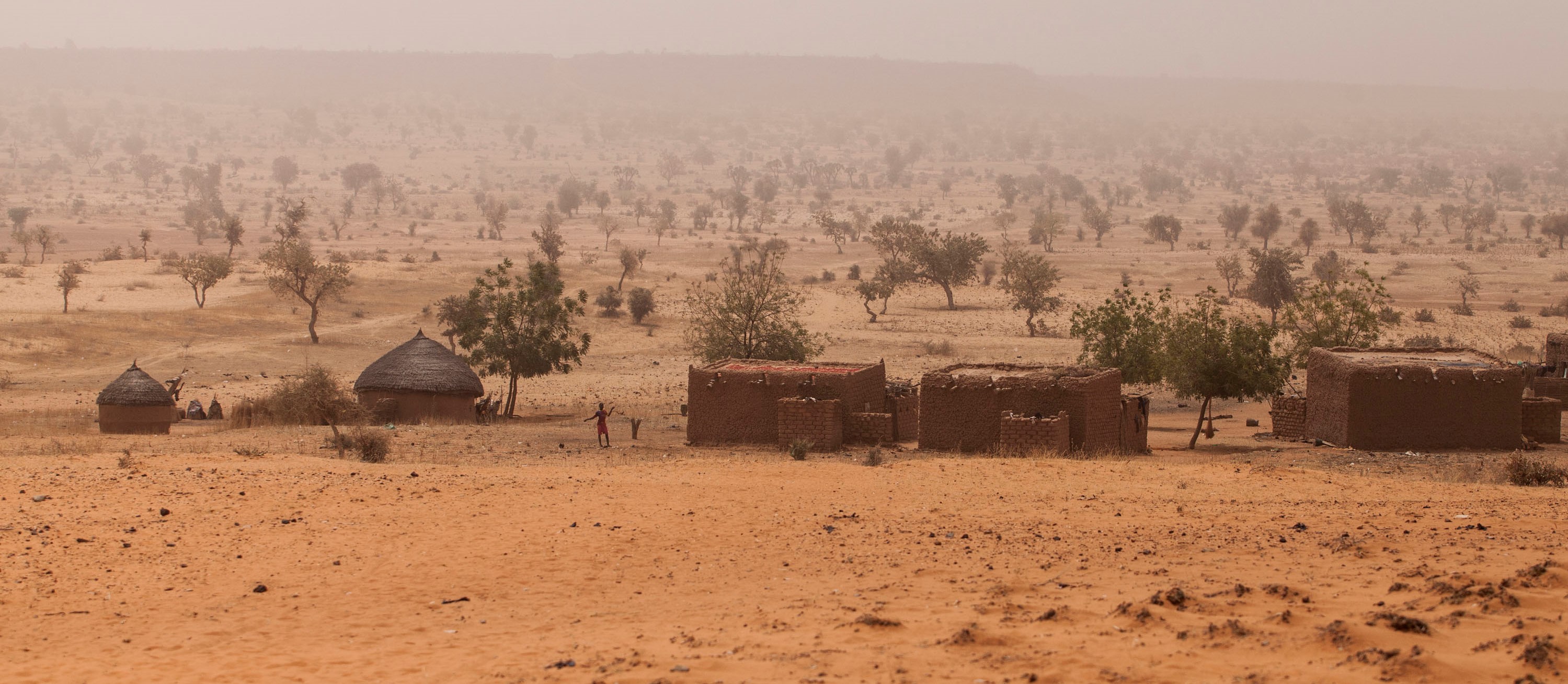 Improving the economic efficiency and targeting of Africa’s Great Green Wall