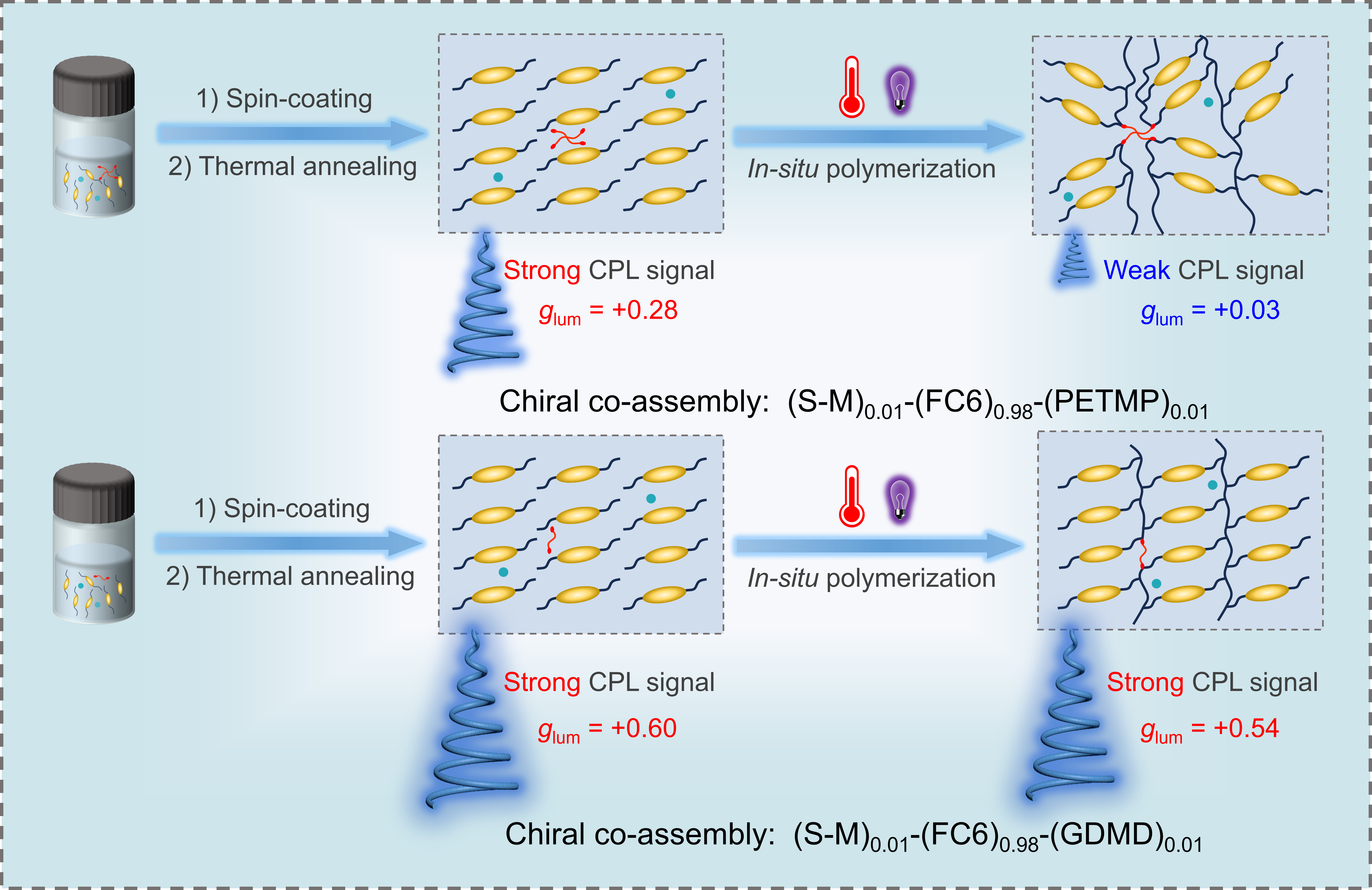 Achieving robust cholesteric liquid crystal polymer networks with high luminescence dissymmetry factor