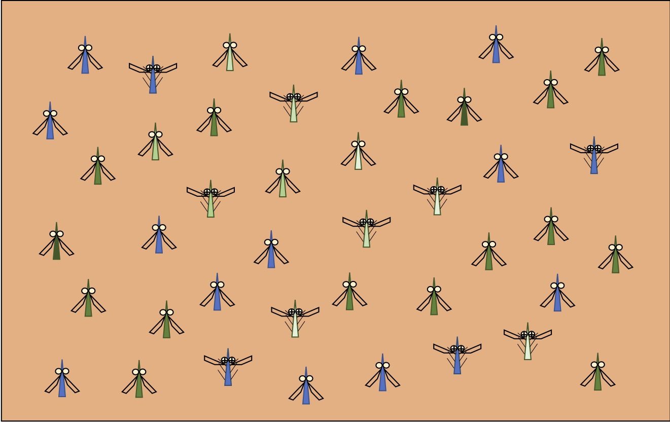 Variation in Wolbachia effects on Aedes mosquitoes as a determinant of invasiveness and vectorial capacity