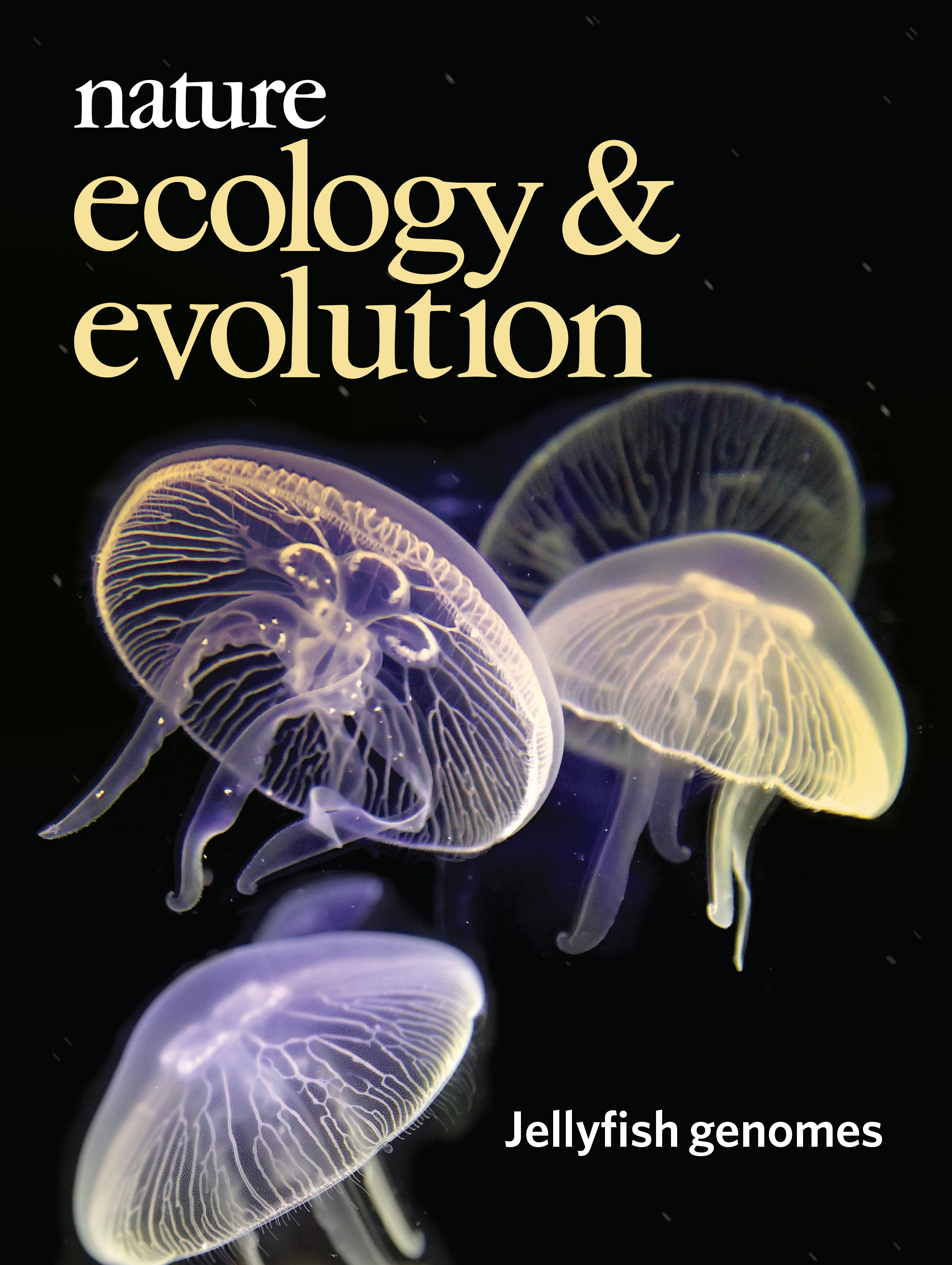 Gallery | May 2019 cover