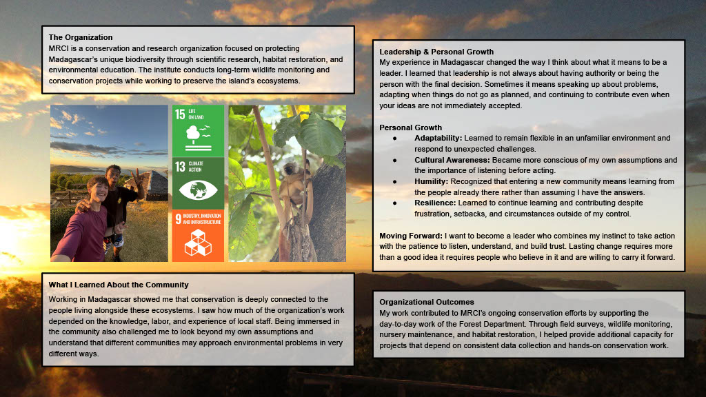 LIA Project: Beyond the Canopy