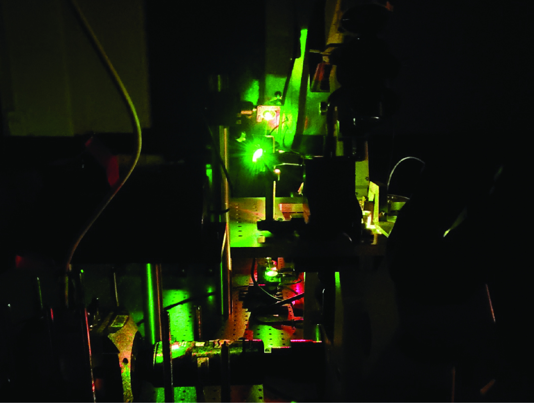 Through DNA and Beyond: A Postdoc Journey of Collaboration and Discovery
