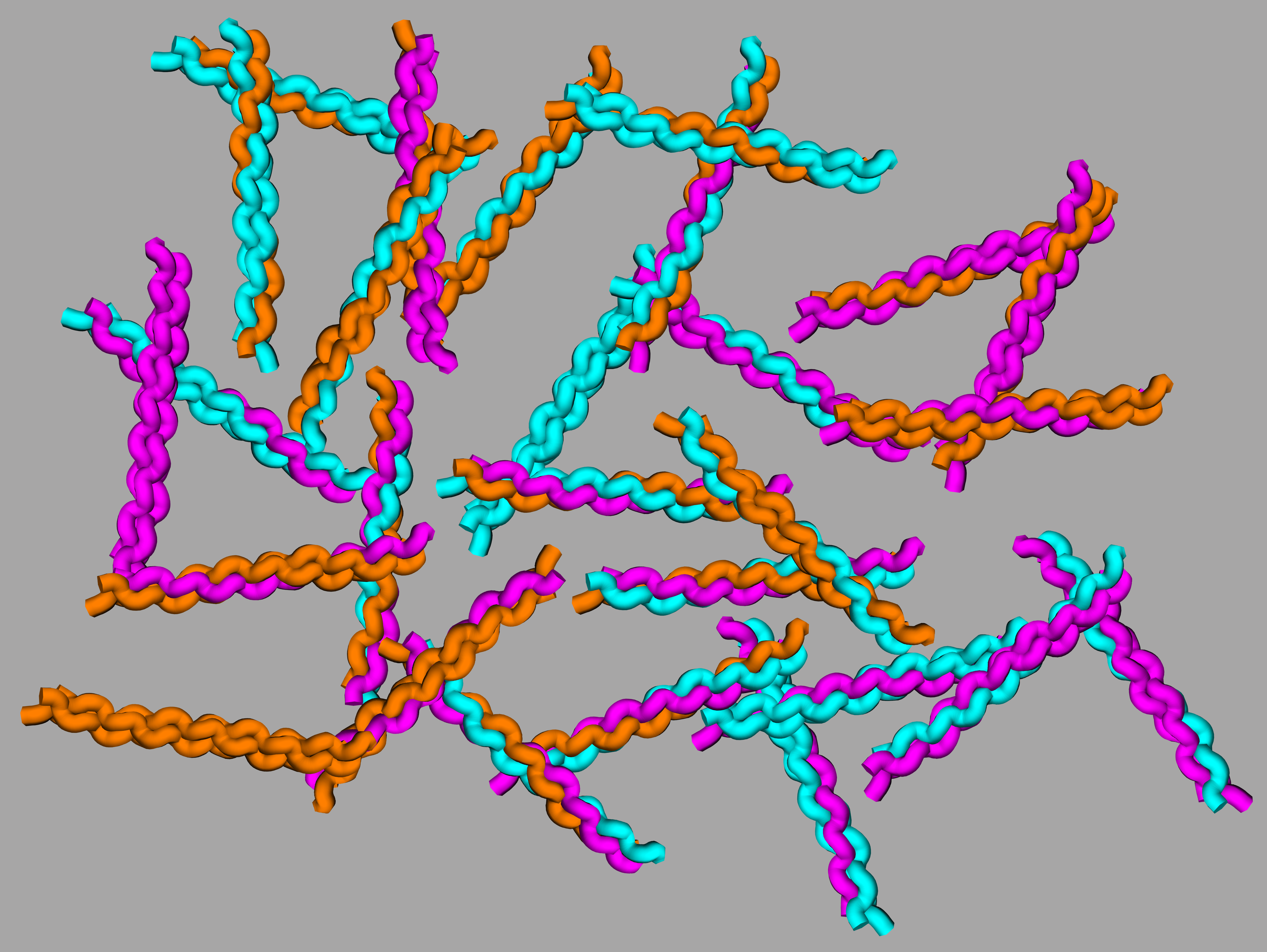 Making Sense of the Chaos of Collagen Self-Assembly