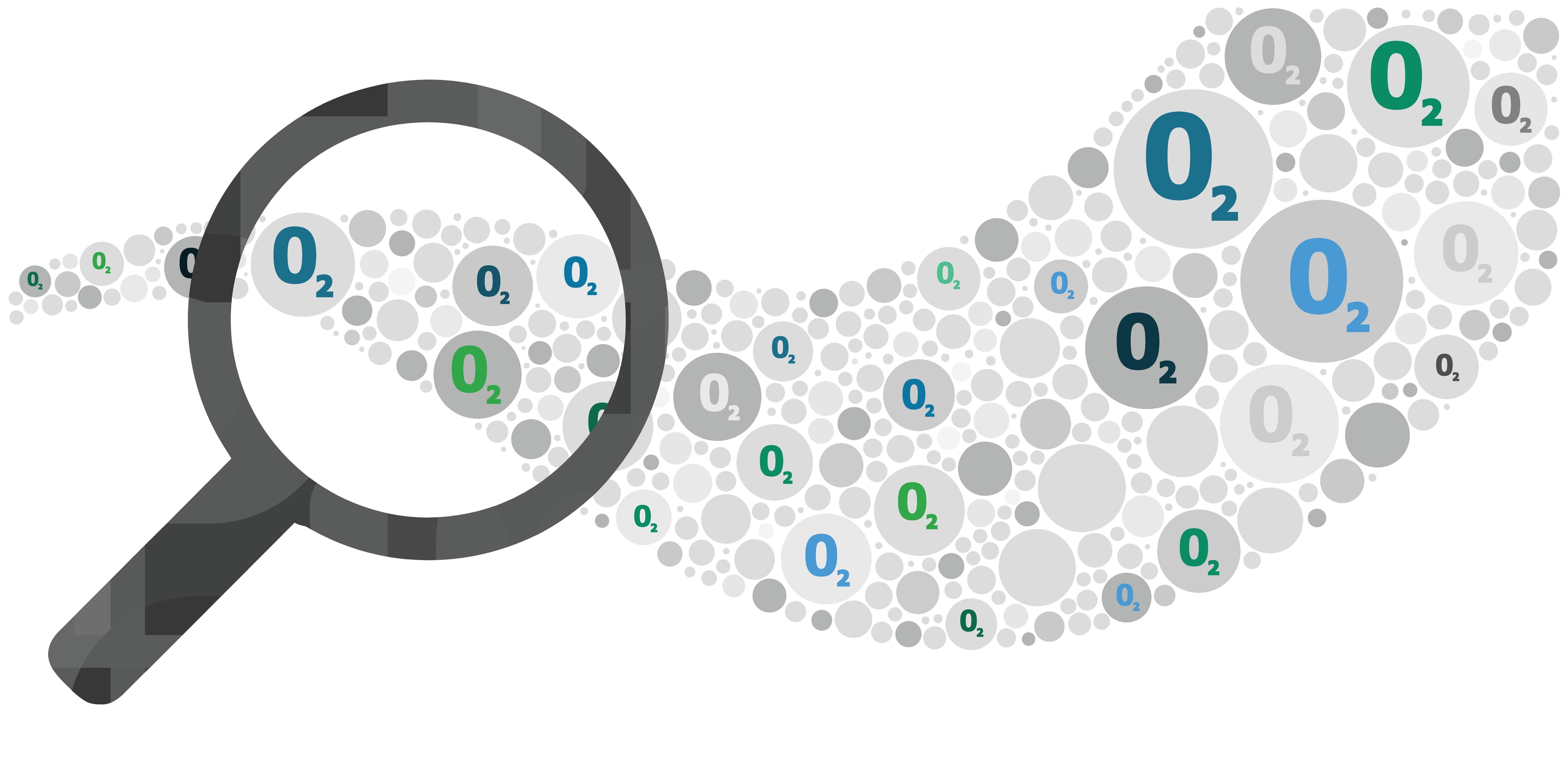 The FEBS Journal Focus Issue: Oxygen sensing, hypoxia and ROS signalling