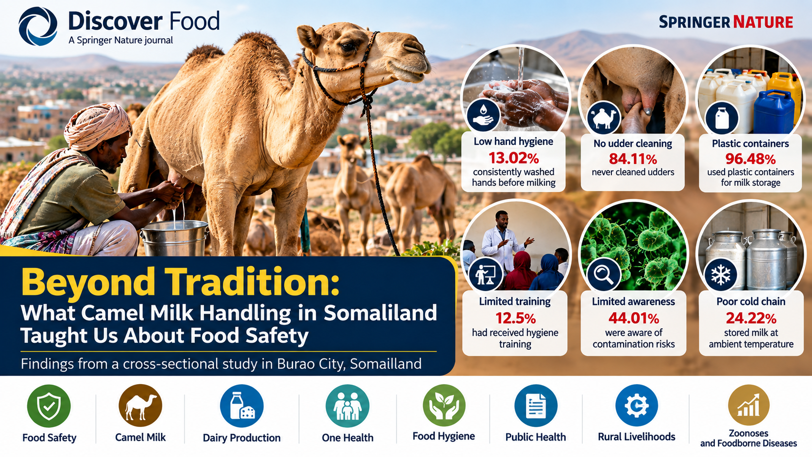 Beyond Tradition: What Camel Milk Handling in Somaliland Taught Us About Food Safety