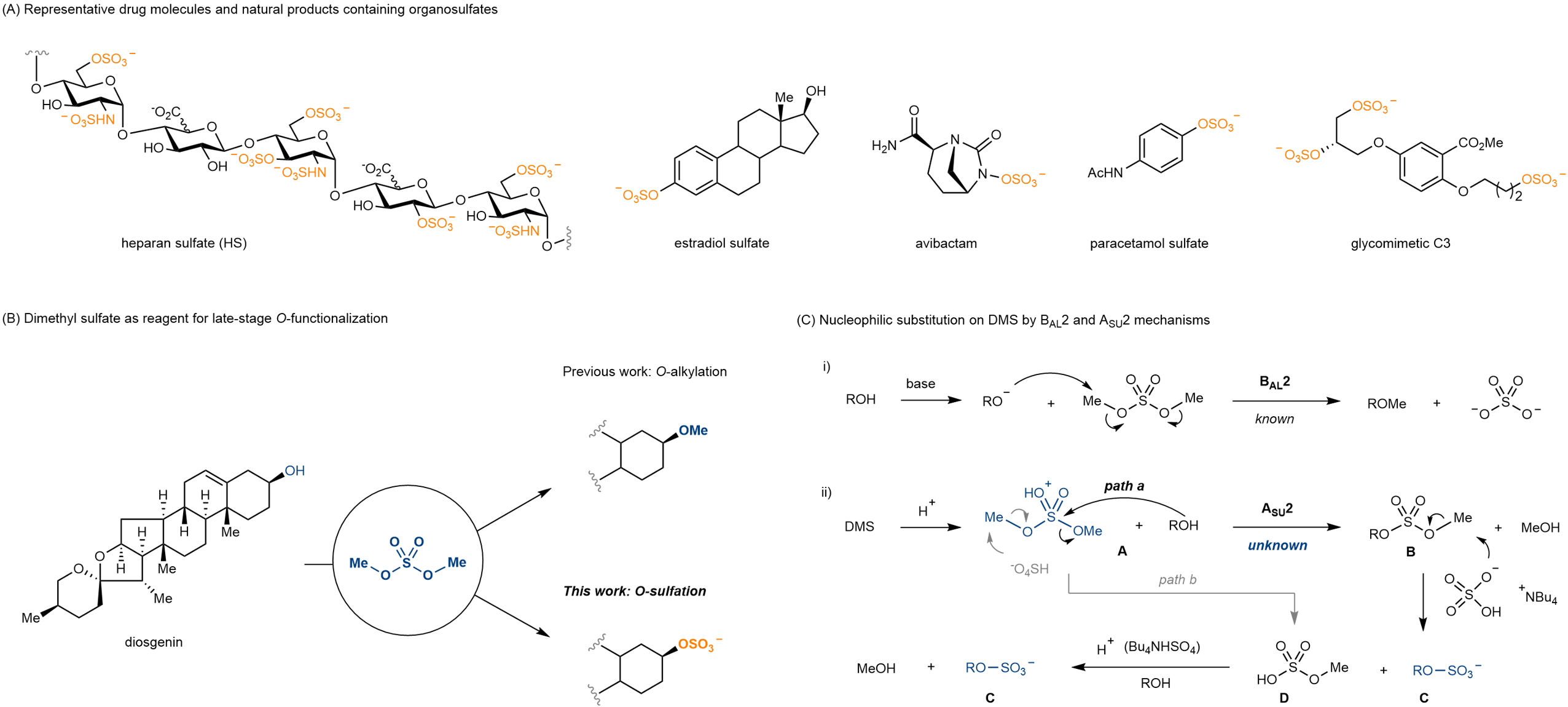  New chemical flowers bloomed by old reagents: dimethyl sulfate and diisopropyl sulfate as practical and versatile reagents in O-sulfation