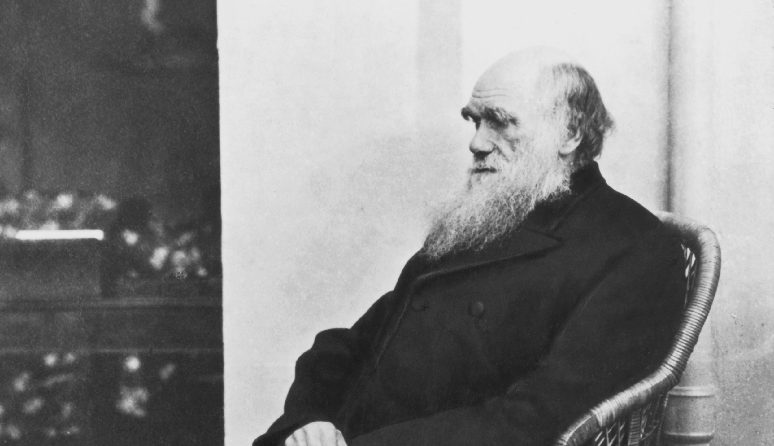 Charles Darwin Inspirational Success Quote