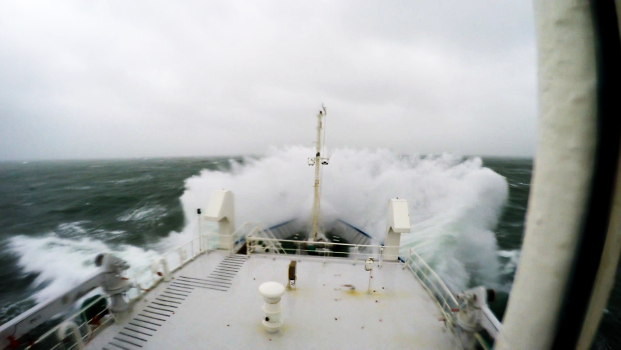 How an unexpected storm led to surprising insights on human and natural disturbances