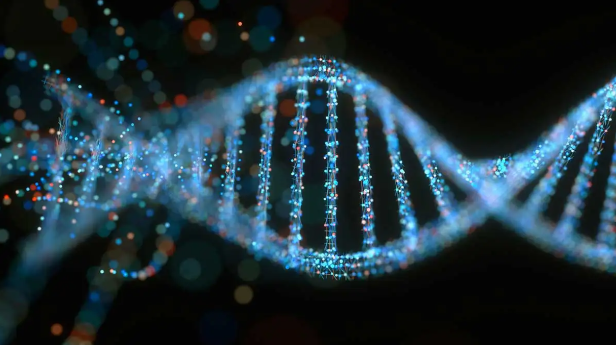 Quarterly Highlights from the Medicine and Life Sciences Research Communities 