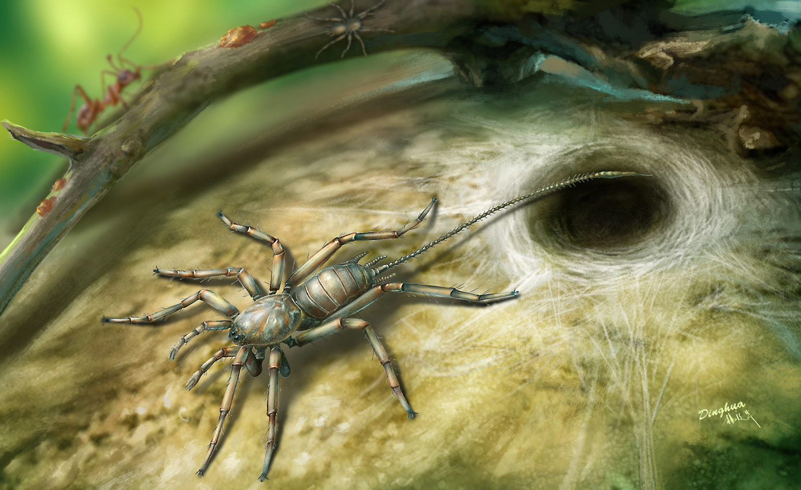 When spiders had tails