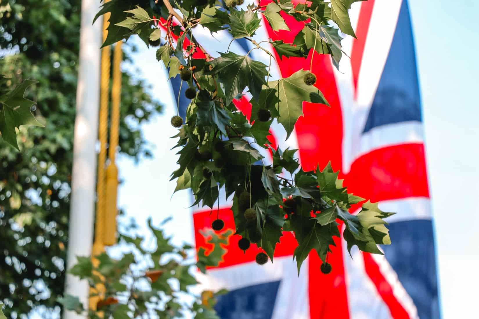 How to Hire EU Citizens After Brexit: A Guide for UK Companies