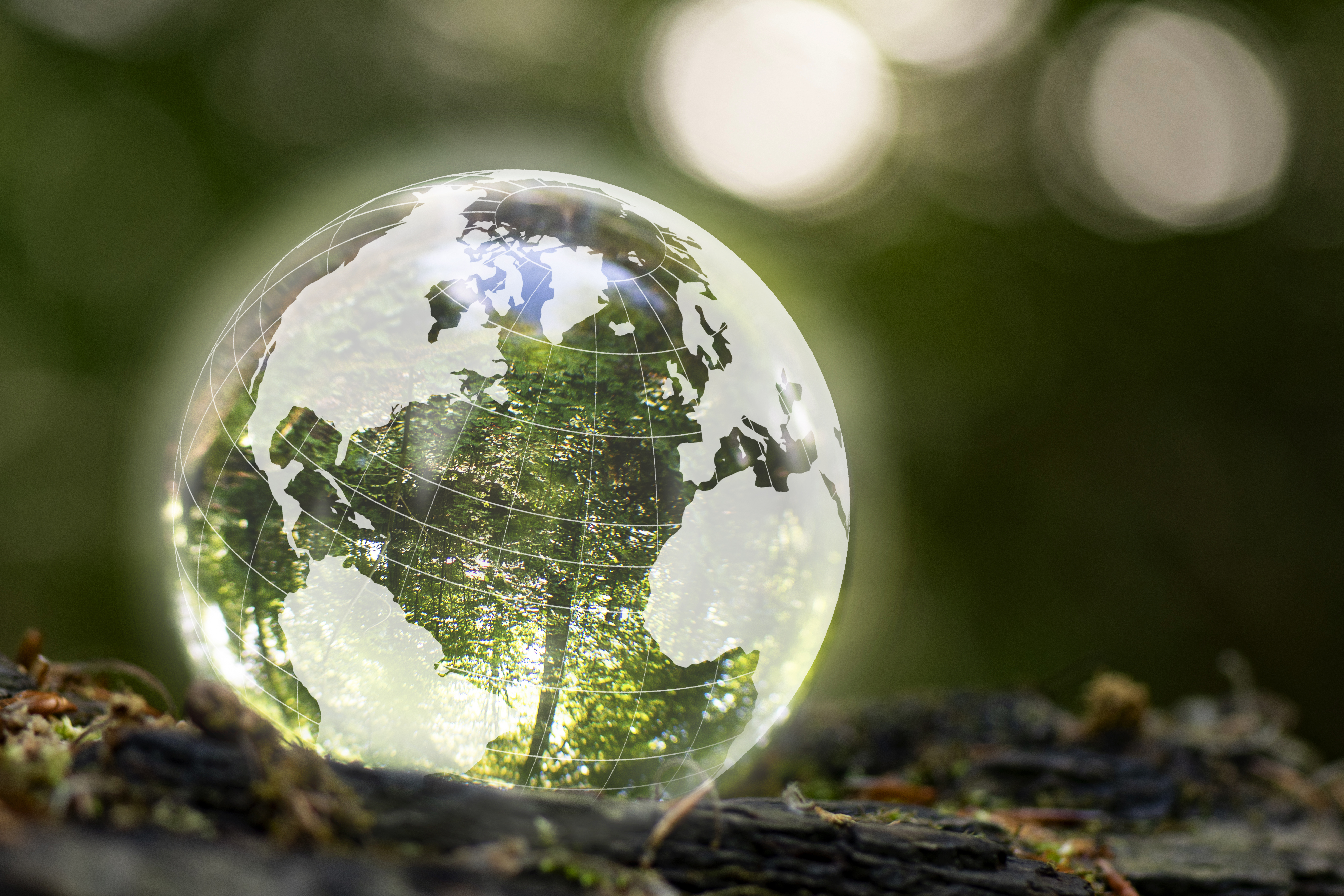 11 Key Conservation Roles 🗺️ Mapping the conservation sector