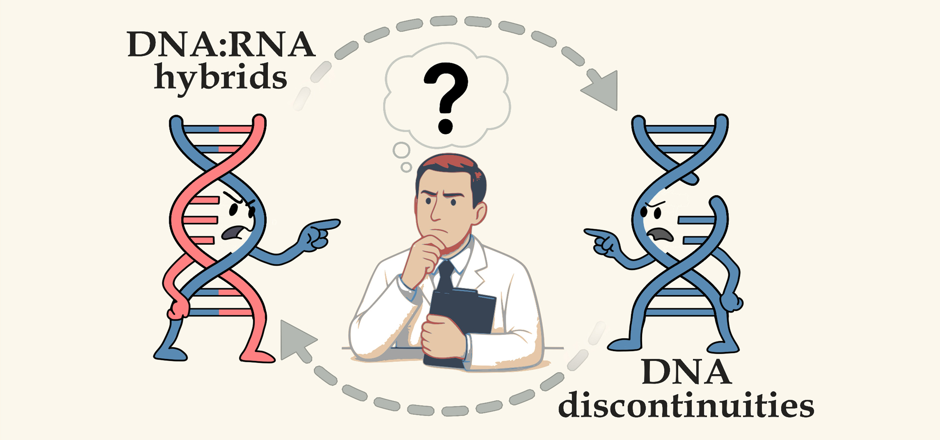 R-loops and Genetic Instability: a Chicken and Egg Problem