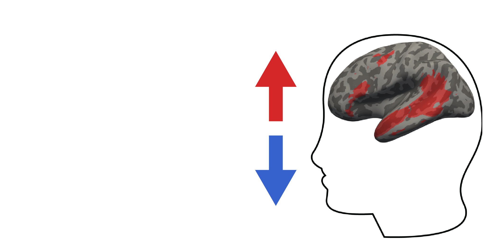 Driving and suppressing the human language network using large language models
