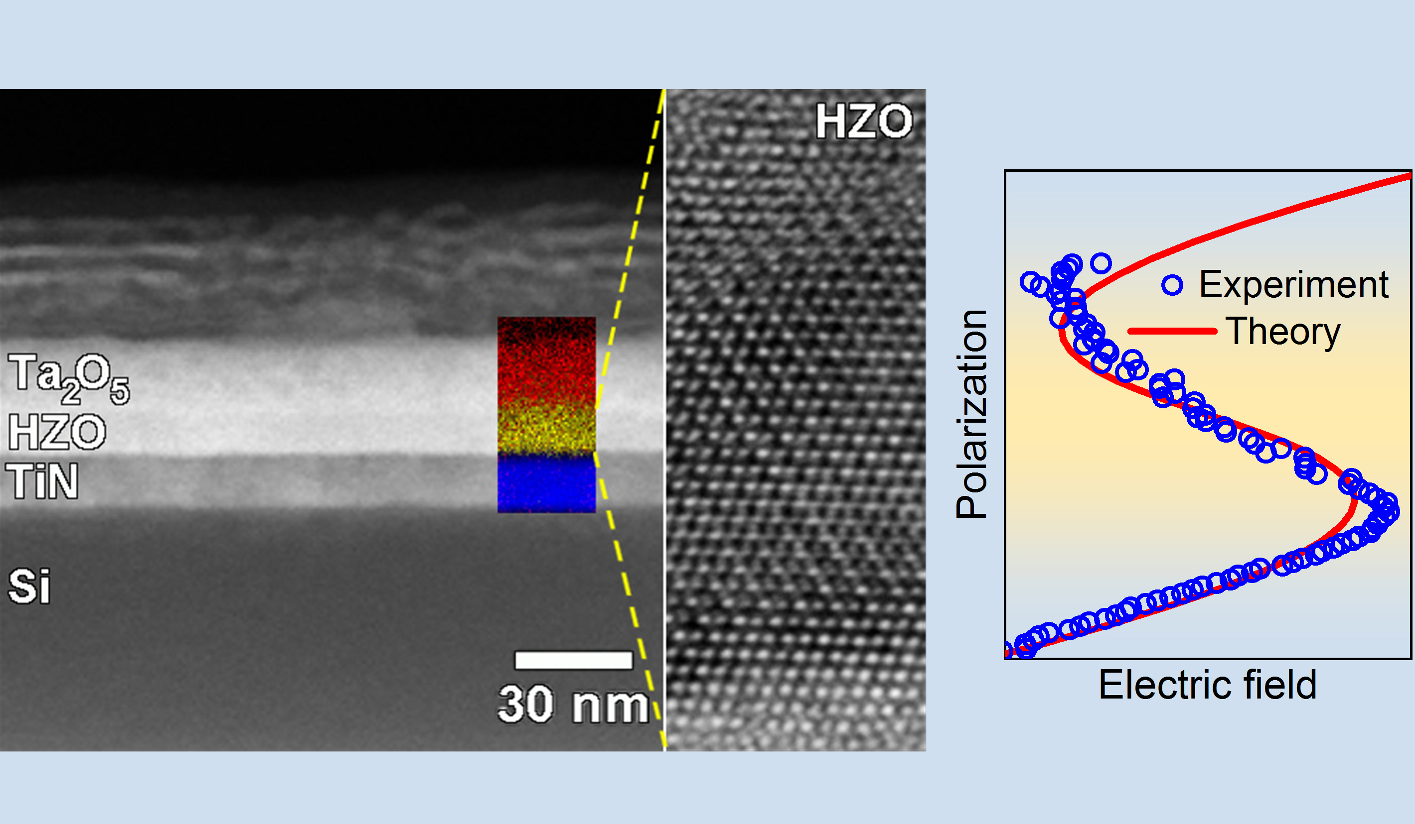 Landau was right! Ferroelectrics exhibit negative capacitance