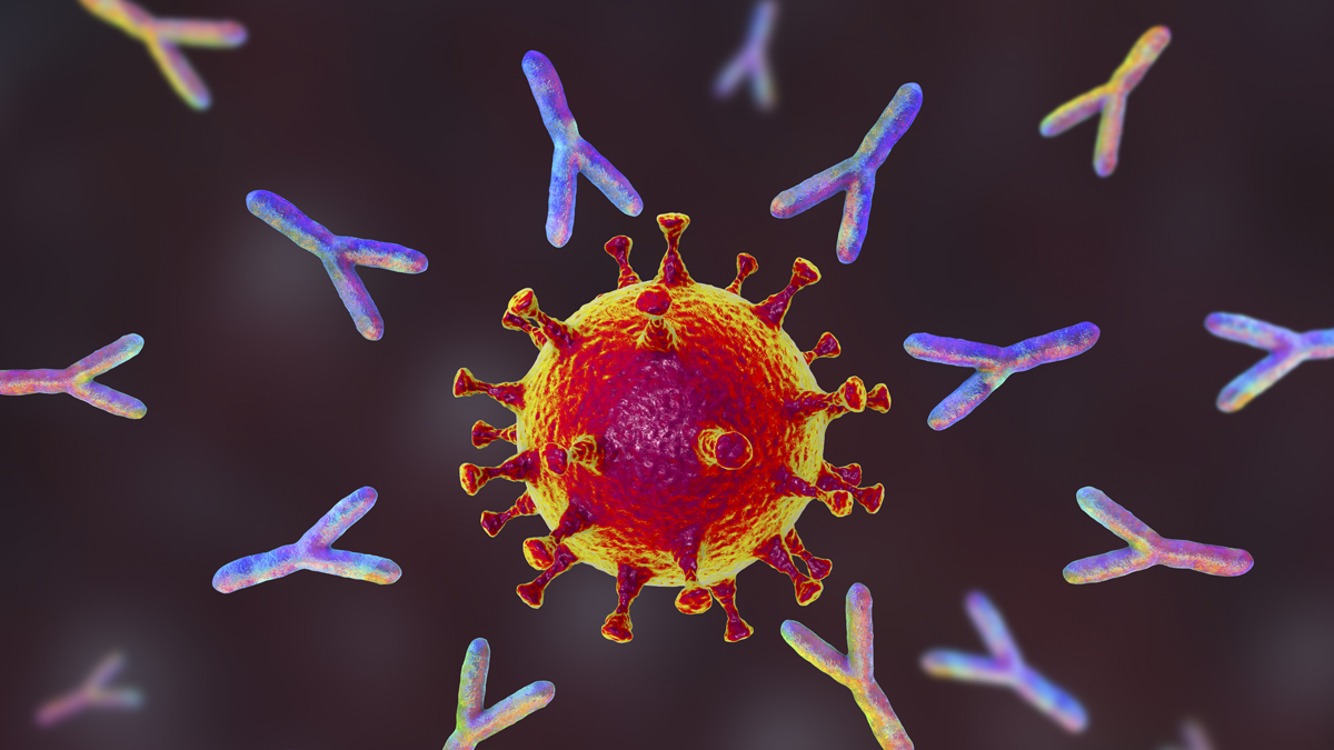 Call for Papers: Reinfection