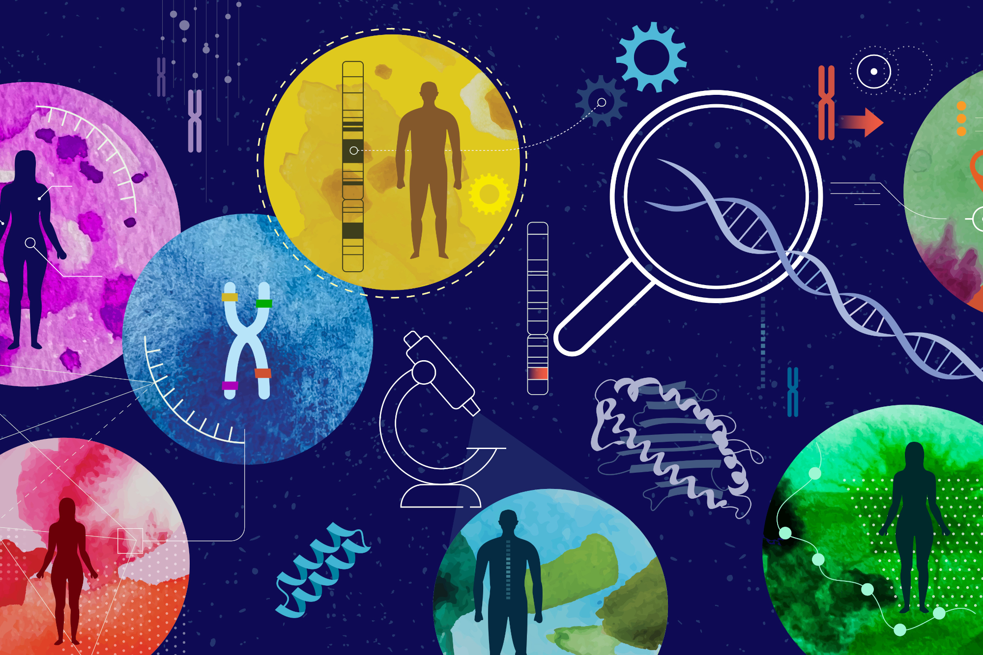 Call for papers: Complex Trait Genetics: From Association to Function