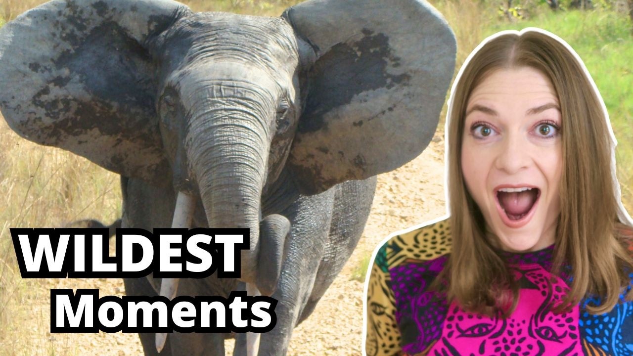 My WILDEST Wildlife Biologist Moments