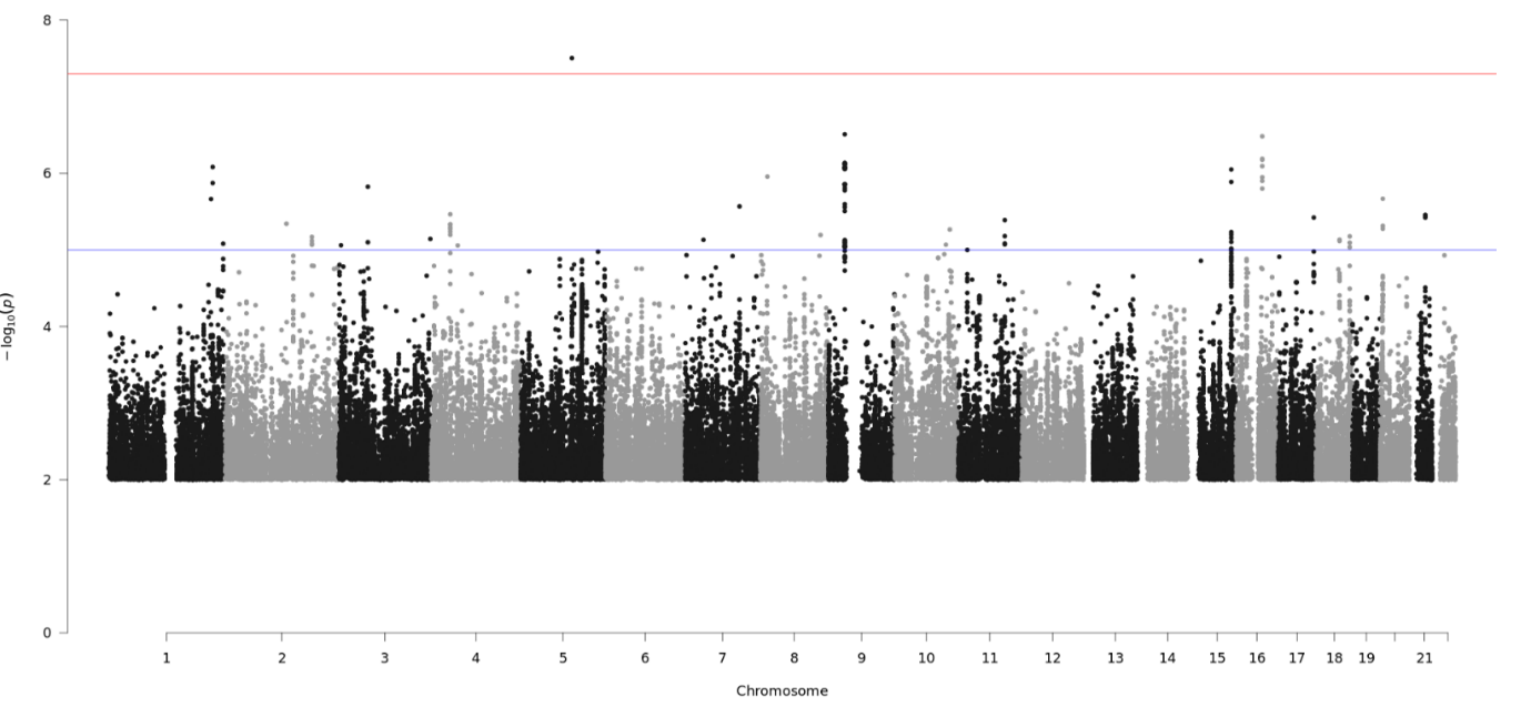 Identification of four novel loci associated with psychotropic drug-induced weight gain in a genome-wide association study