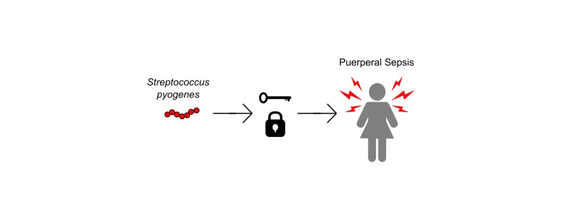 The Lock and Key of Puerperal Sepsis