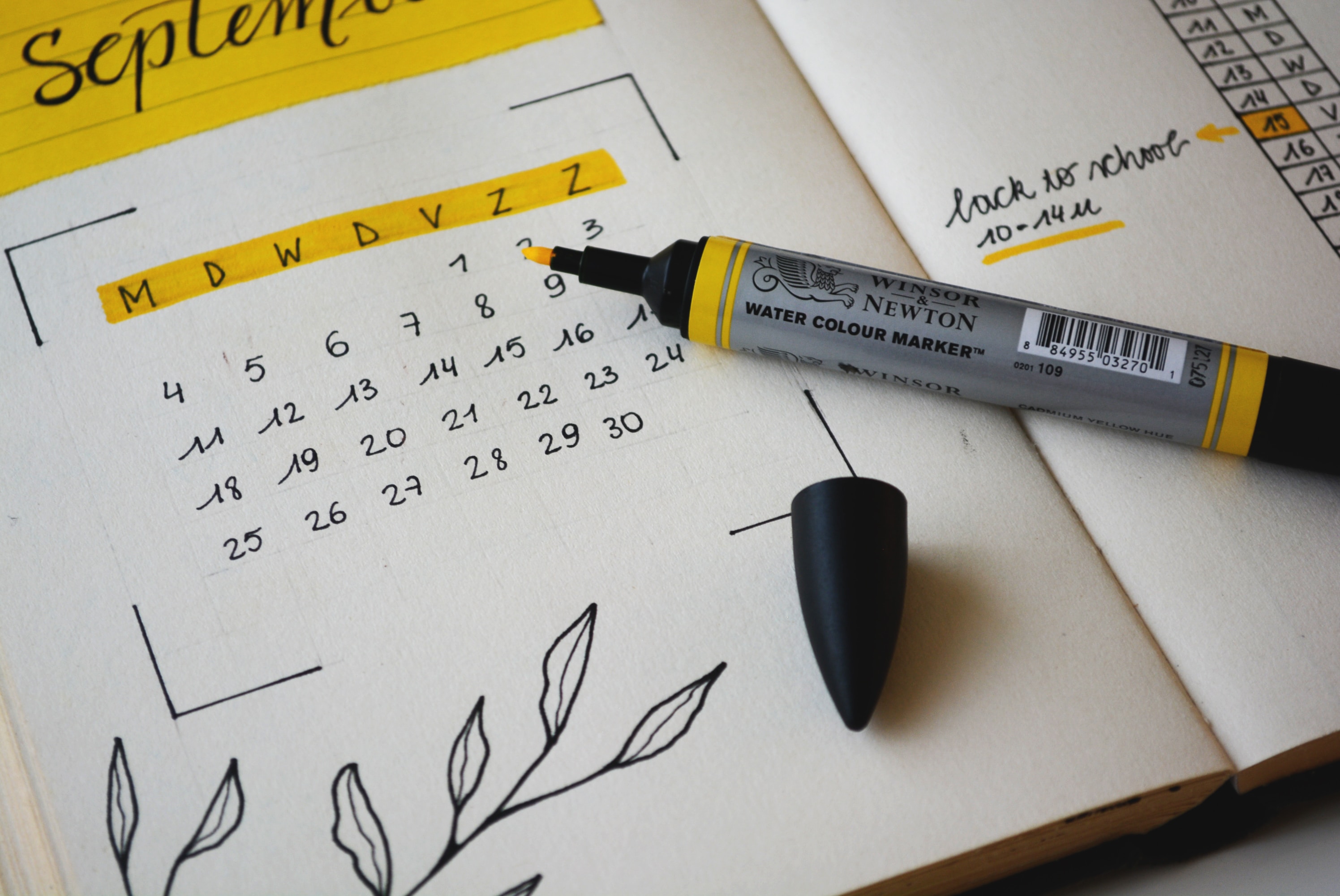 Scheduling community content