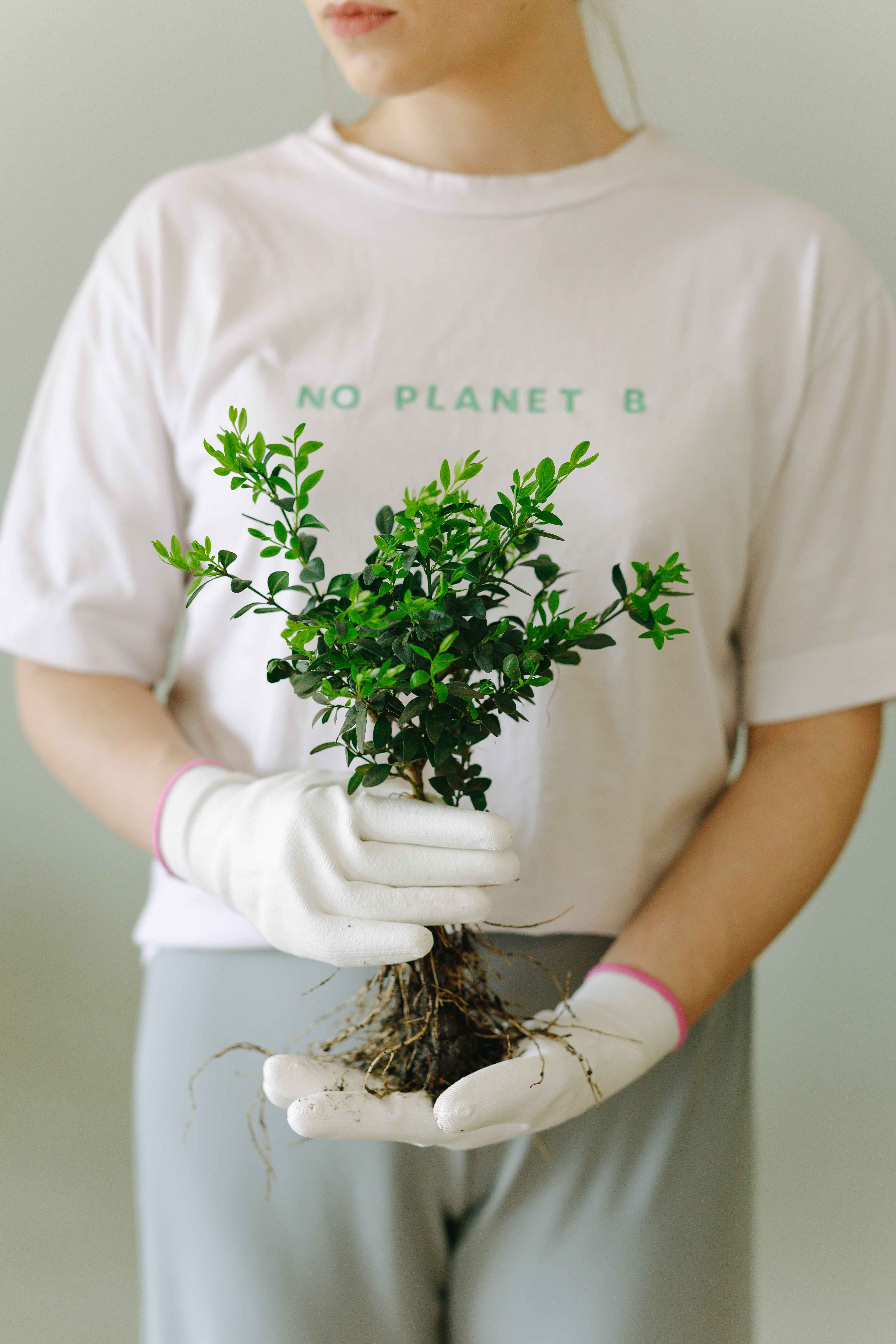 I  thought I was living Sustainably. Research changed my mind.