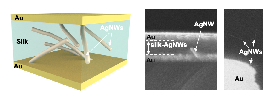 Atomic surfing controls the memory lifetime