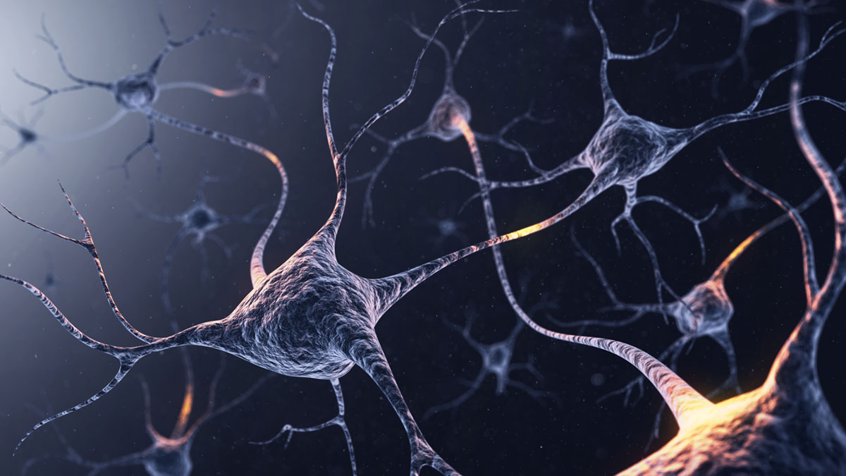 Top 100 in Neuroscience from 2023 | Scientific Reports