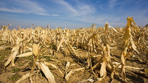Editors' Highlights in Climate, Energy and Earth Science