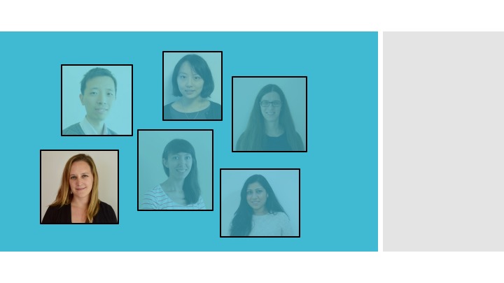 Spotlight on Allison Doerr, Nature Methods Chief Editor