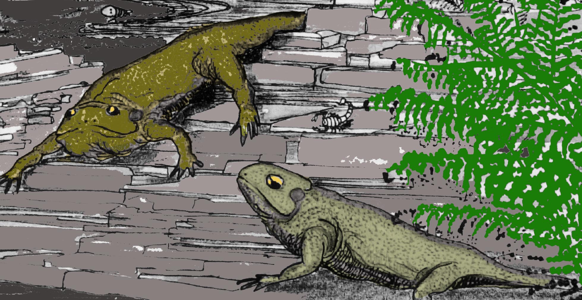 ​Rebuilding a post-extinction world in the early Carboniferous