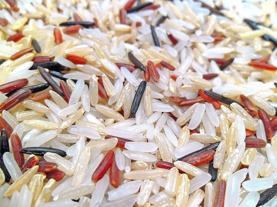 Growing rice = growing mosquitoes?