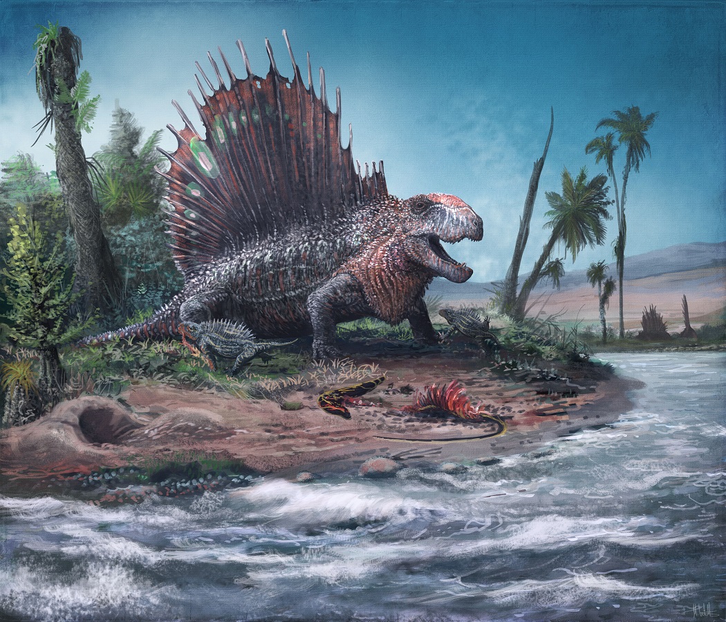 The evolutionary story behind mammals’ bendy backs