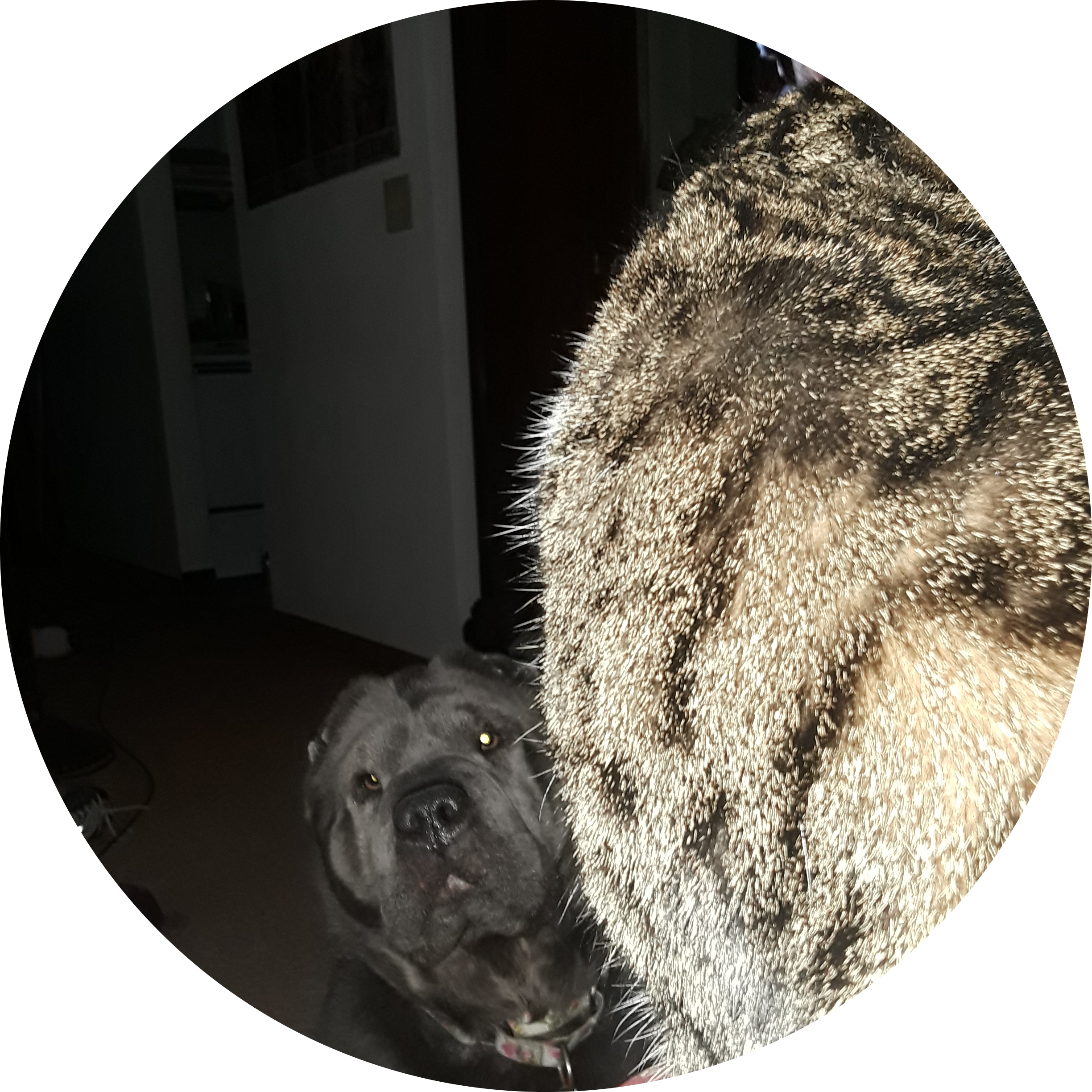 Go to the profile of Colleen