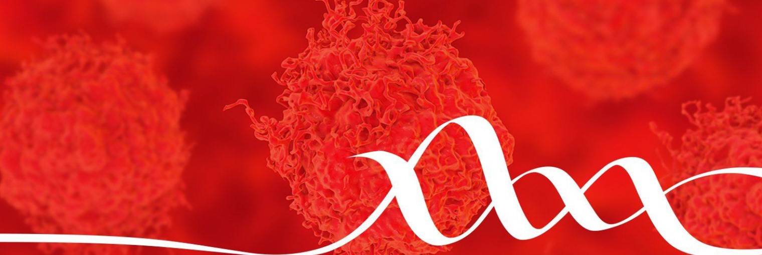 Neuroscience at Communications Biology: Complexity of the Brain