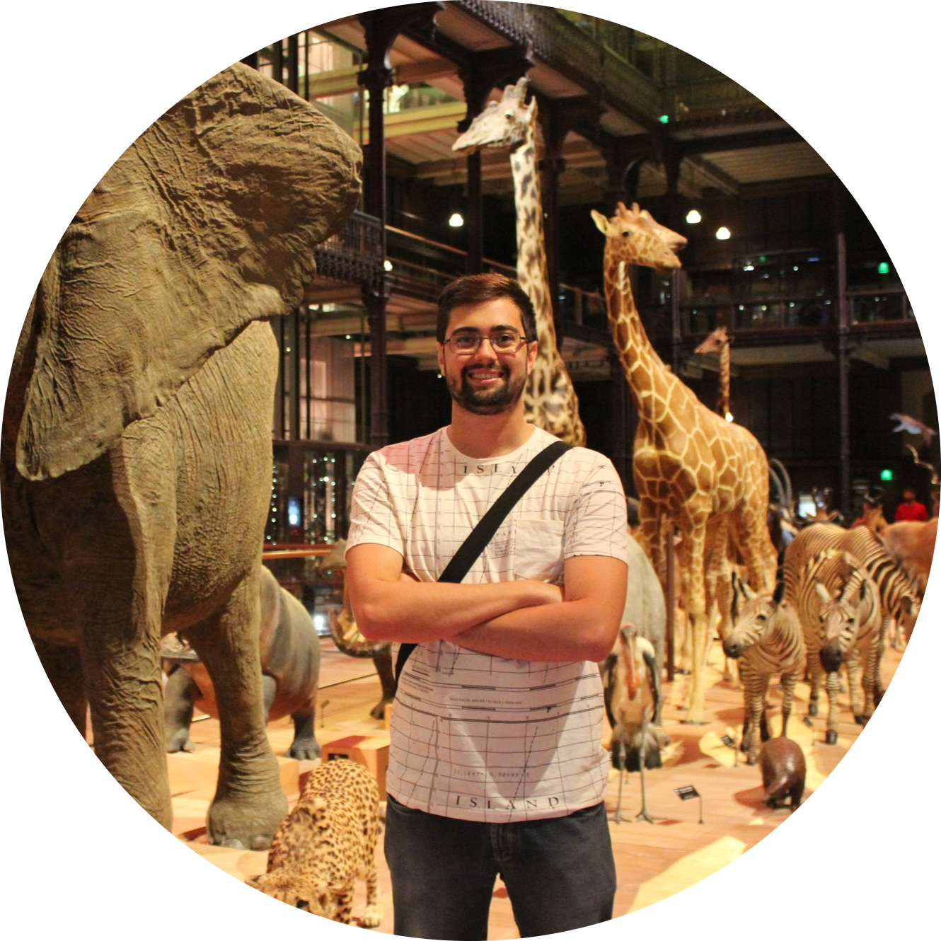 Go to the profile of Waldir M Berbel-Filho