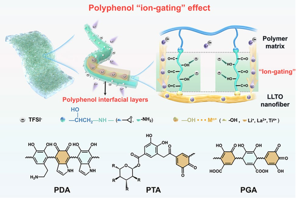 Polyphenol-Gated Composite Electrolytes with Enhanced Cross-Phase Lithium-Ion Transport for Solid-State Lithium Batteries