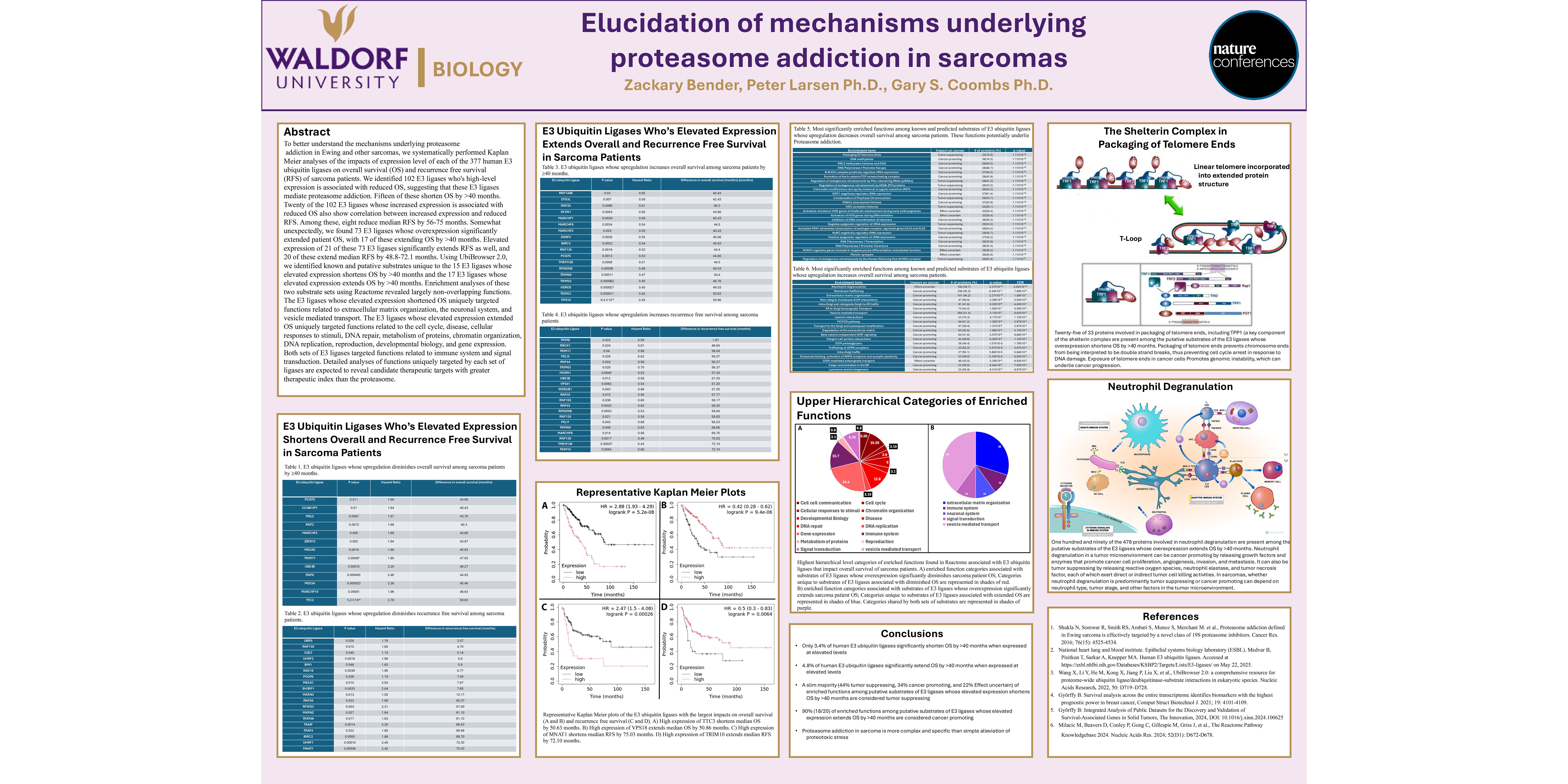 Elucidation of mechanisms underlying proteasome addiction in sarcomas