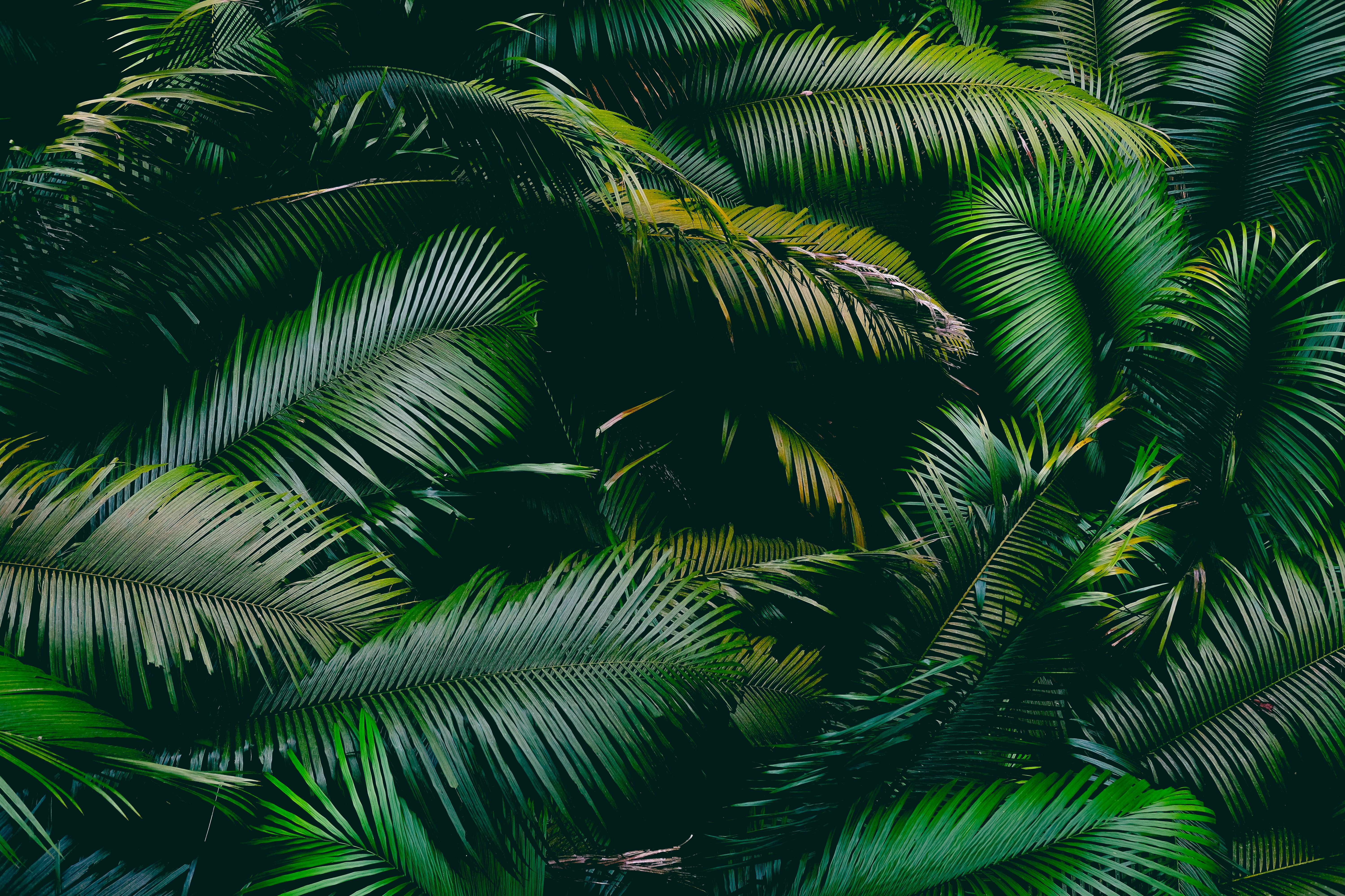 Introduction 
