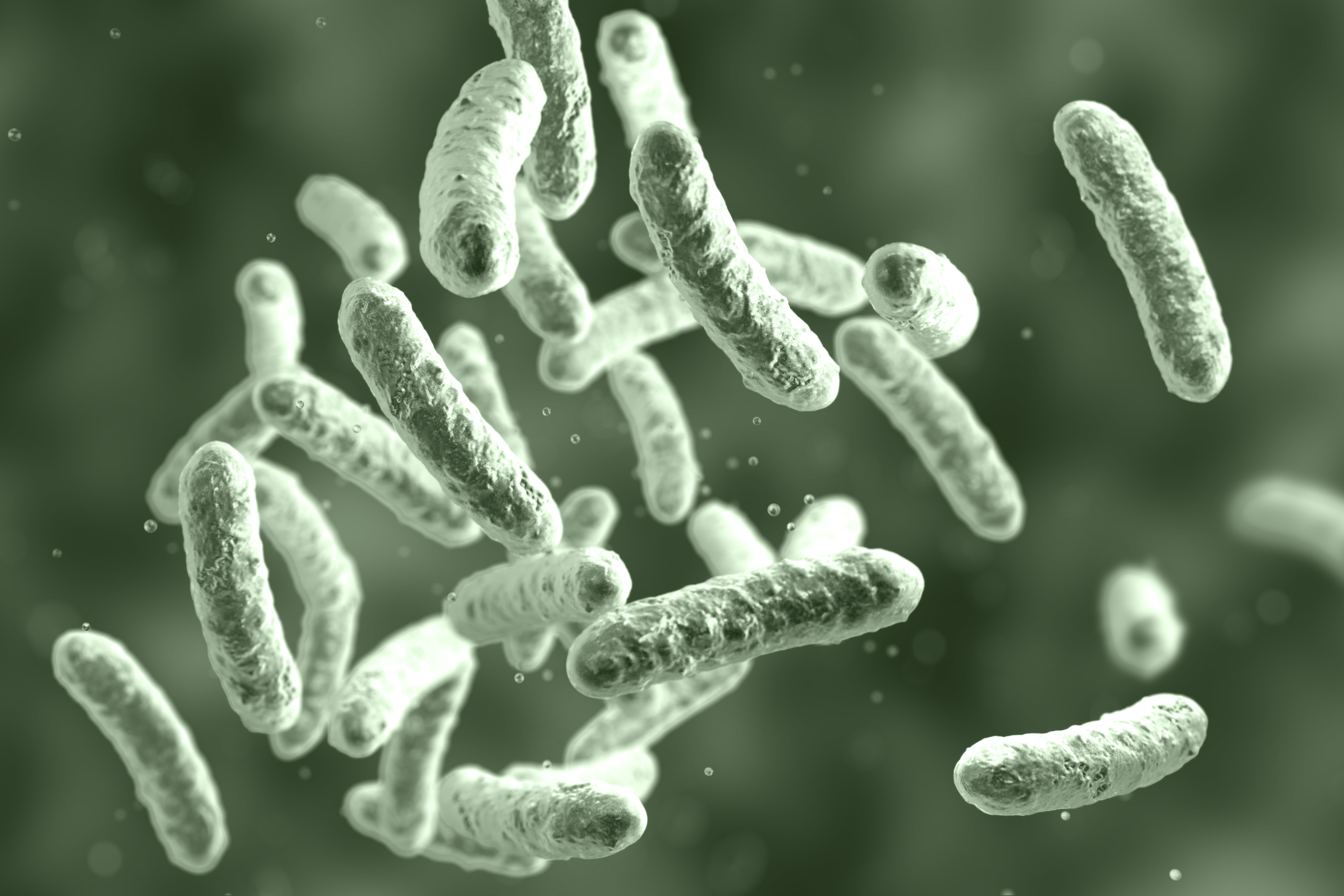 Inactivation kinetics of 280 nm UV-LEDs against Mycobacterium abscessus in water