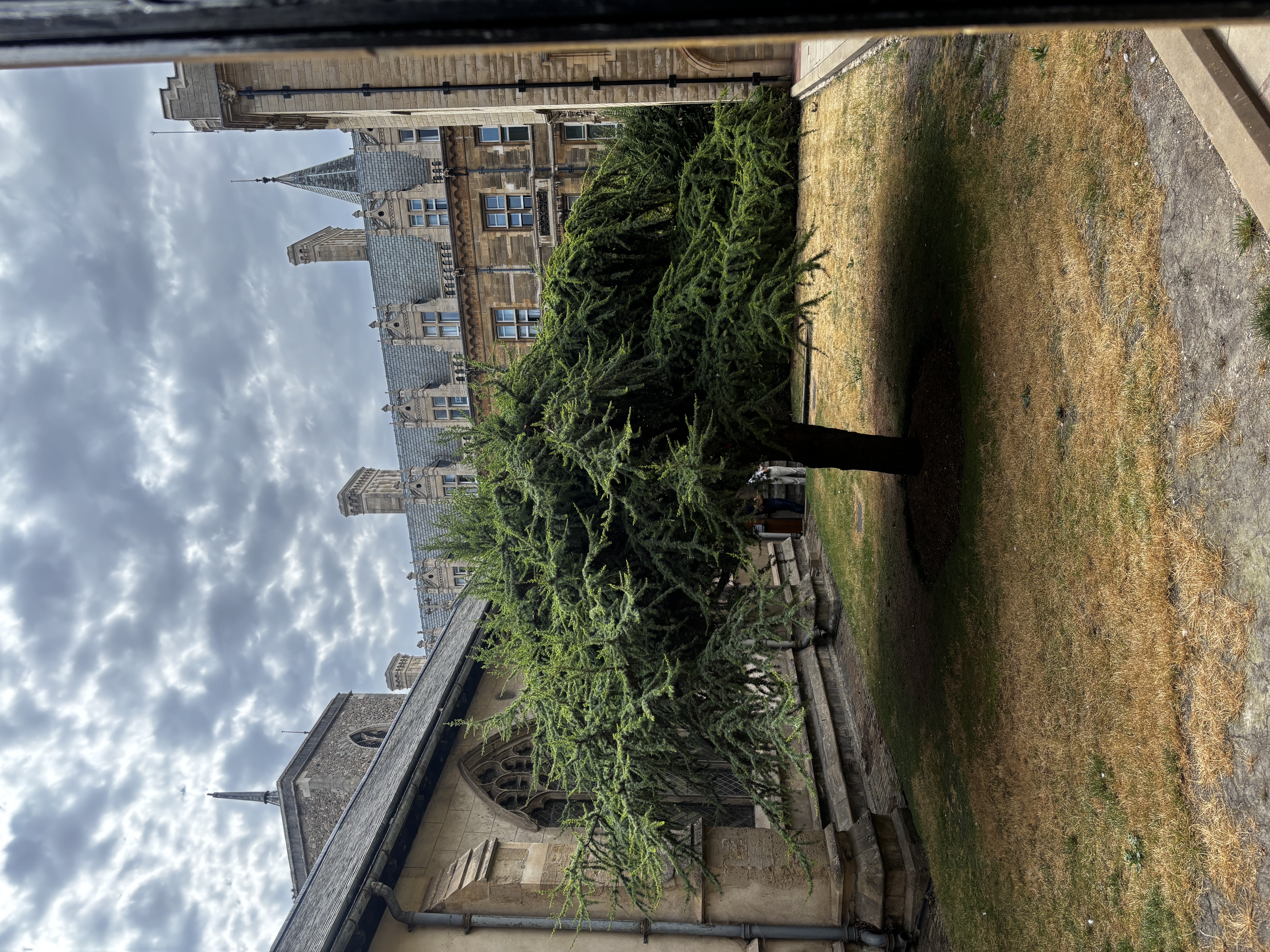 LiA in Cambridge: Midway Reflections!
