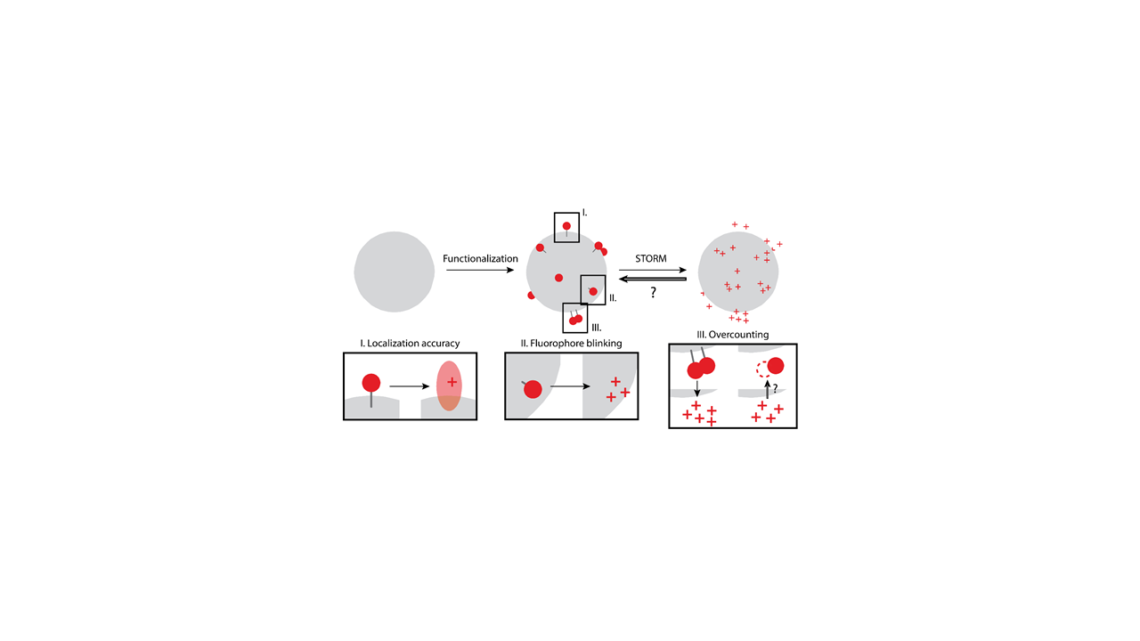 Complex nanomaterials: a stochastic view