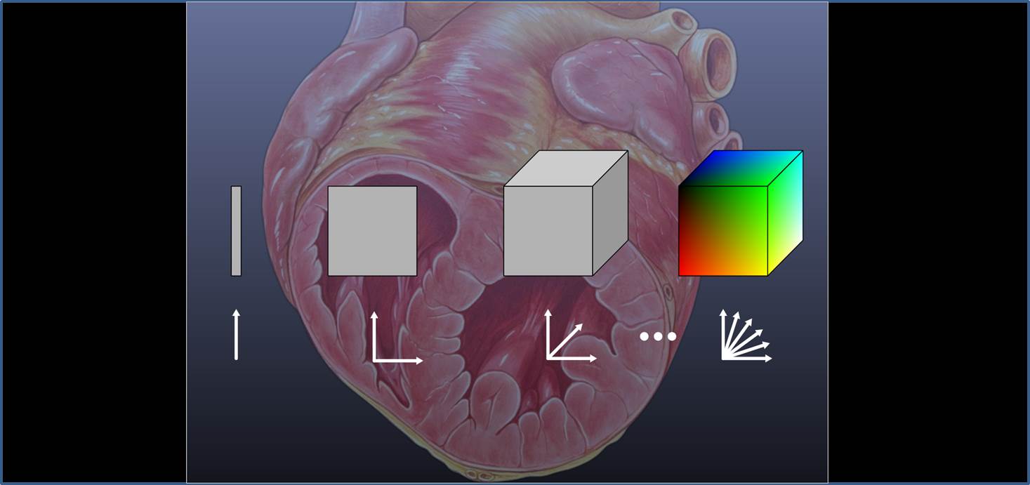 Hyperdimensional quantitative imaging of the heart