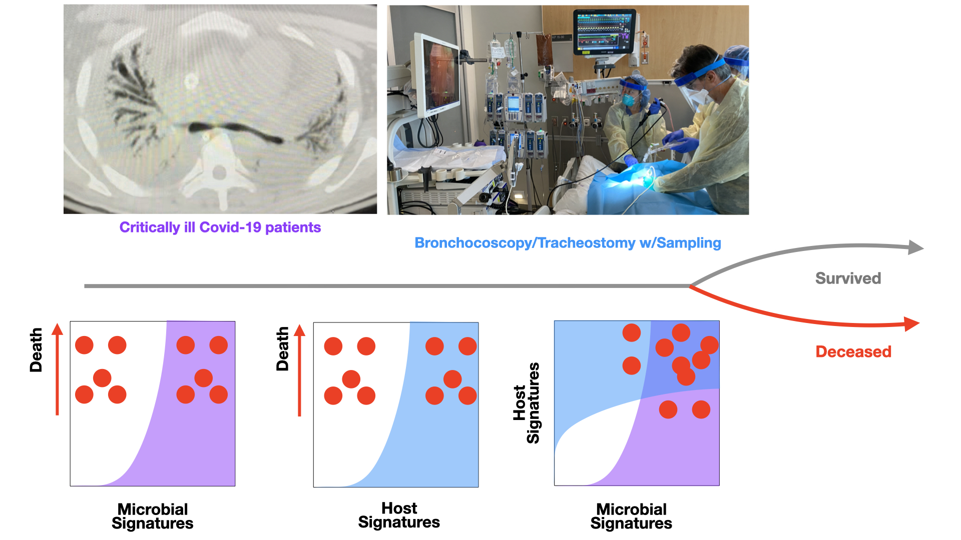The multi-omic microverse of SARS-CoV-2 in the lungs of critically ill patients.