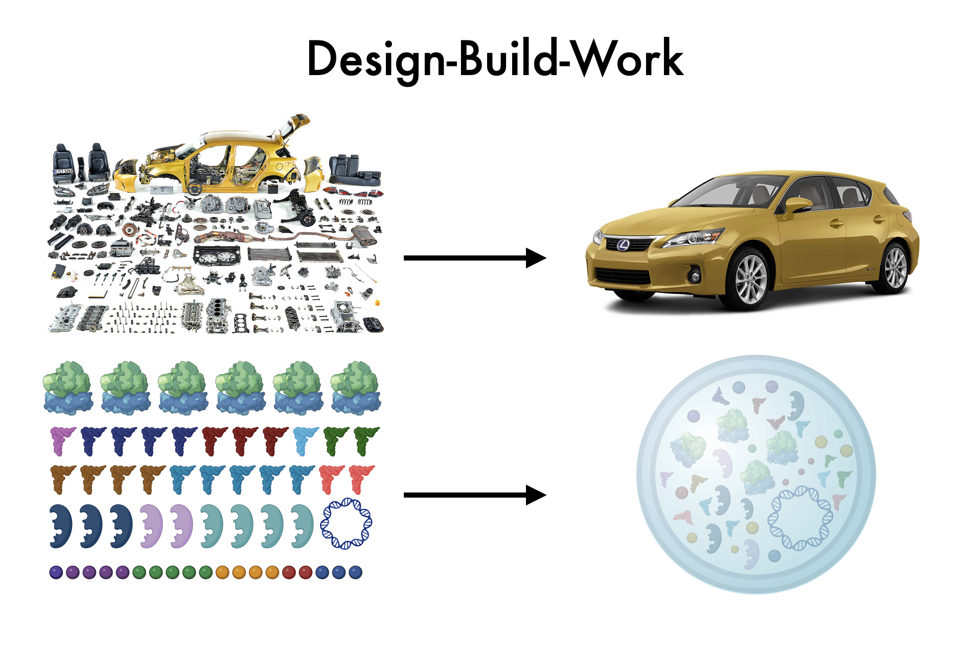 Designing synthetic cellular systems that just work